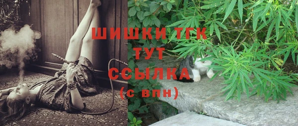 дмт Абинск