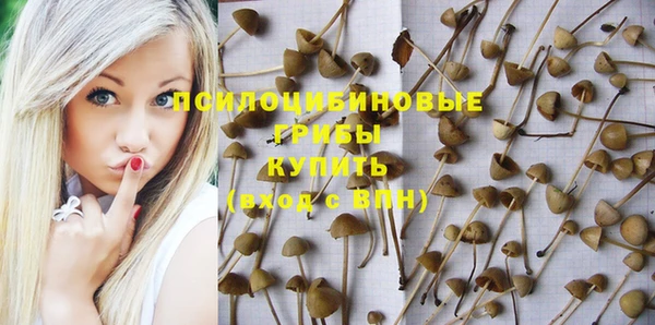 соль ск Абаза