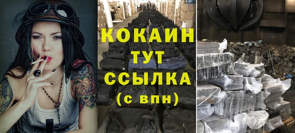 соль ск Абаза