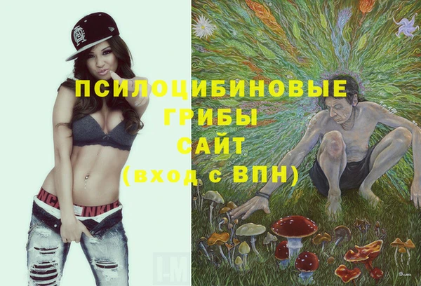 МДПВ Рославль