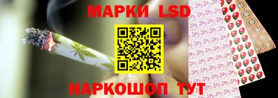 прущие грибы Чебаркуль