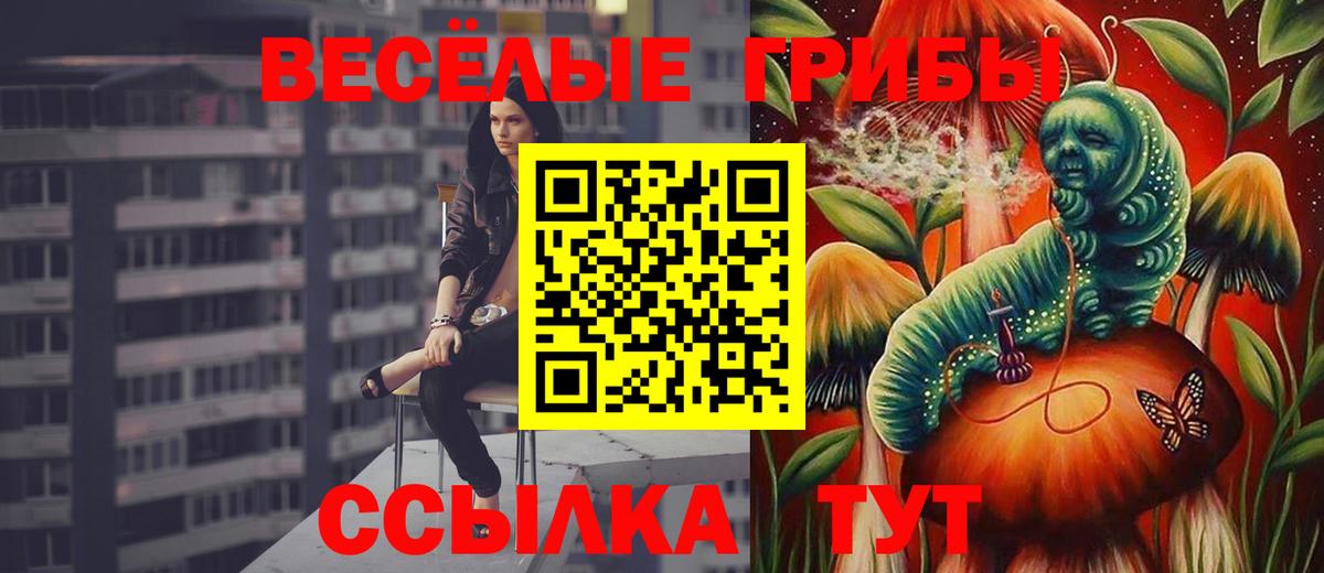 Псилоцибиновые грибы прущие грибы  Вход с VPN  Алатырь 